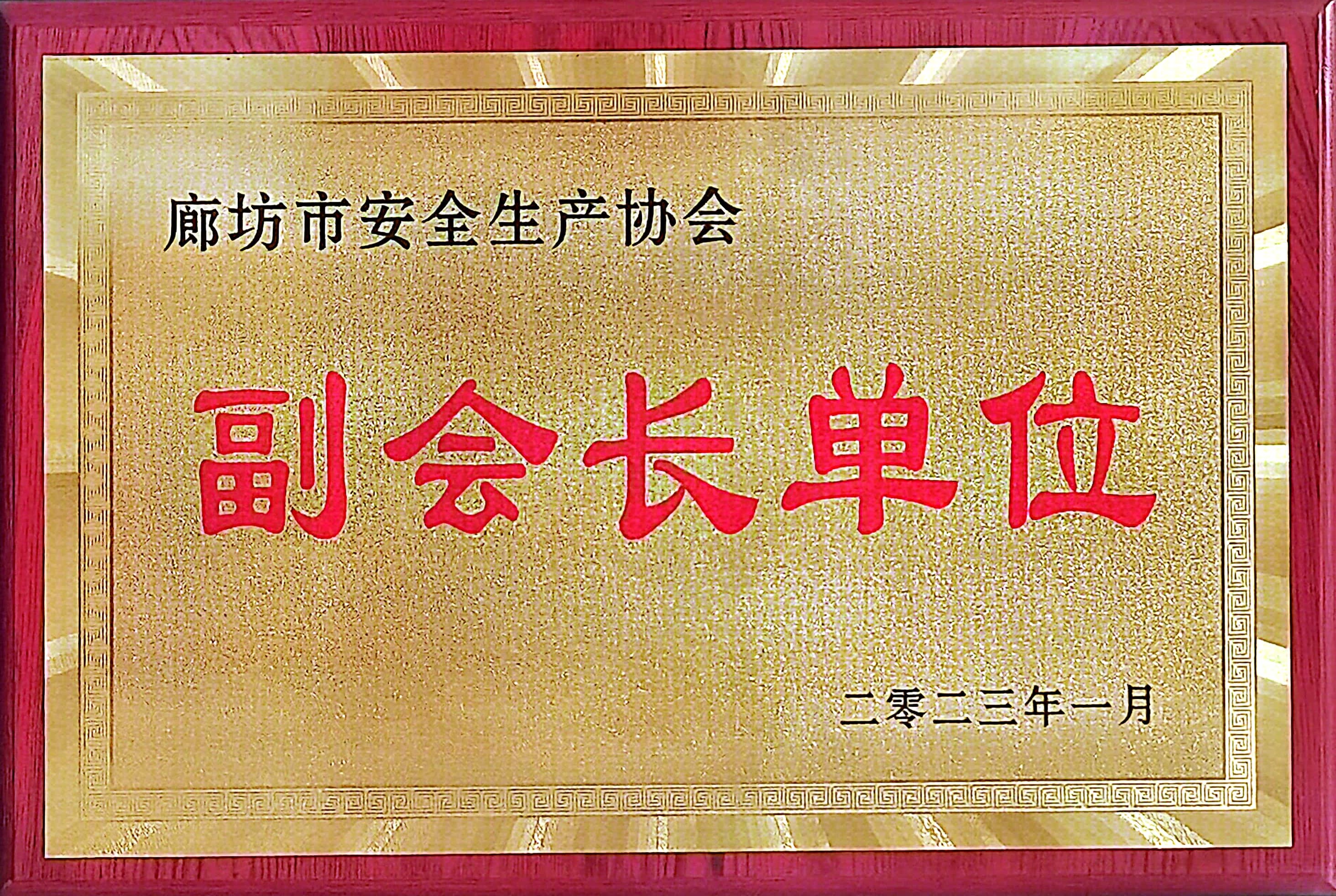 廊坊市安全生產(chǎn)協(xié)會(huì)副會(huì)長(zhǎng)單位